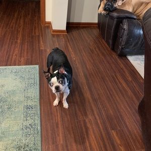 Meet your Posher, Bobbi